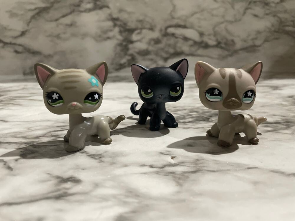 Littlest pet shop shorthair cat bundle!